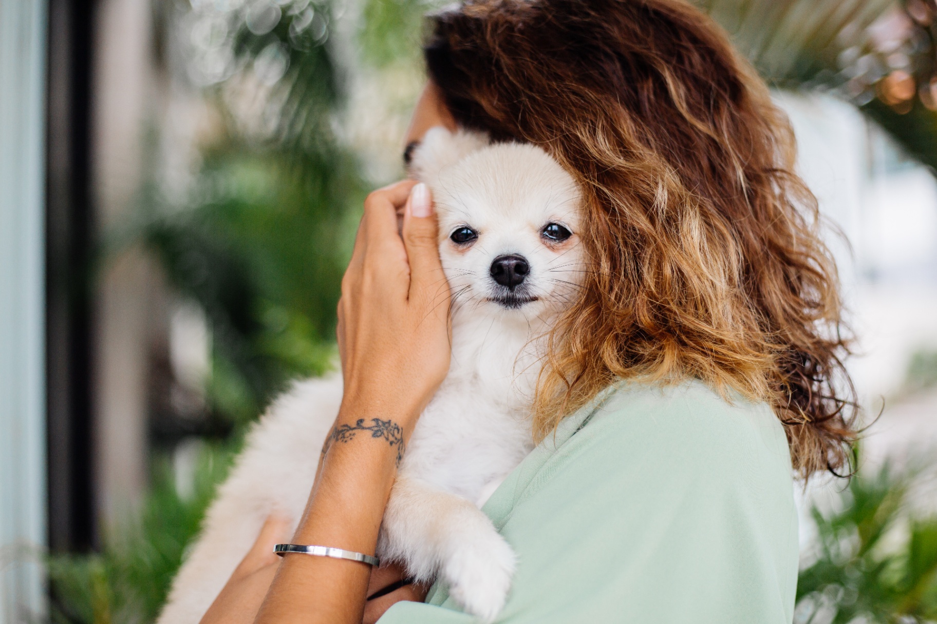 A small white pomeranian held close against a woman's shoulder outdoors